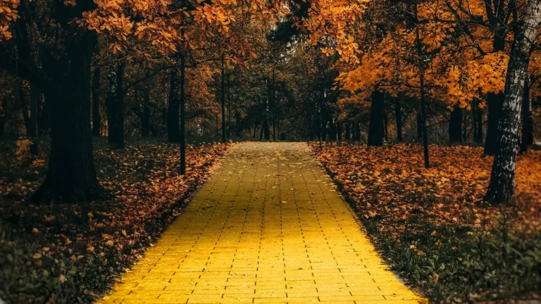 Finding your Yellow Brick Road